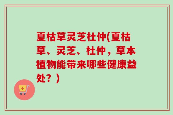 夏枯草灵芝杜仲(夏枯草、灵芝、杜仲，草本植物能带来哪些健康益处？)