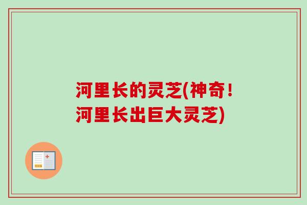 河里长的灵芝(神奇！河里长出巨大灵芝)