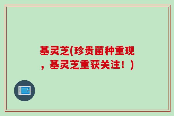基灵芝(珍贵菌种重现，基灵芝重获关注！)
