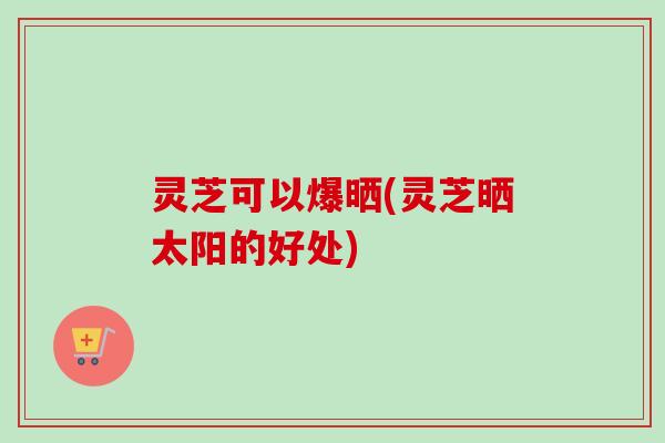 灵芝可以爆晒(灵芝晒太阳的好处)
