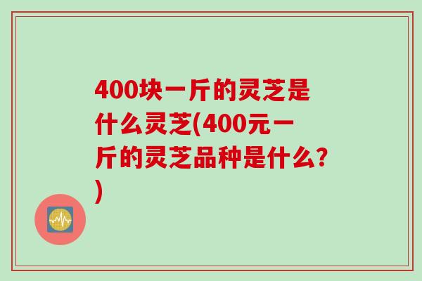 400块一斤的灵芝是什么灵芝(400元一斤的灵芝品种是什么？)