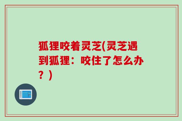 狐狸咬着灵芝(灵芝遇到狐狸：咬住了怎么办？)