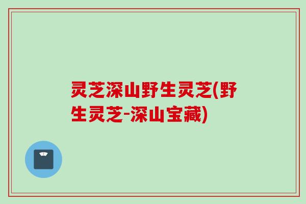 灵芝深山野生灵芝(野生灵芝-深山宝藏) 灵芝深山野生灵芝(野生灵芝-深山宝藏)