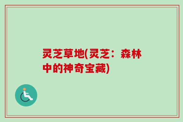 灵芝草地(灵芝：森林中的神奇宝藏)