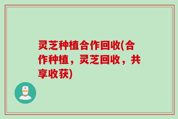 灵芝种植合作回收(合作种植,灵芝回收,共享收获) 灵芝种植合作回收(合作种植,灵芝回收,共享收获)