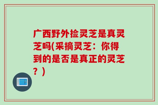 广西野外捡灵芝是真灵芝吗(采摘灵芝:你得到的是否是真正的灵芝?) 广西野外捡灵芝是真灵芝吗(采摘灵芝:你得到的是否是真正的灵芝?)