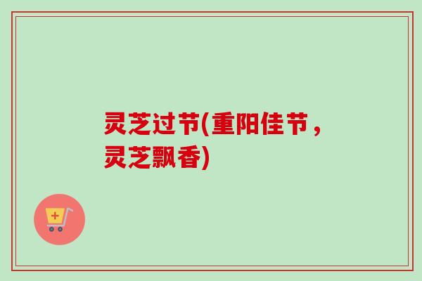 灵芝过节(重阳佳节，灵芝飘香)