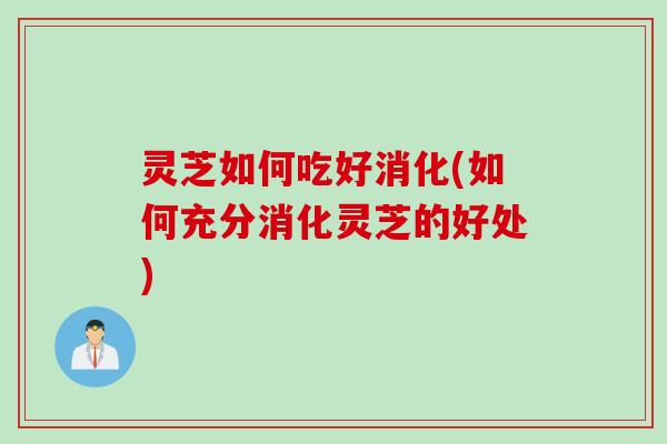 灵芝如何吃好消化(如何充分消化灵芝的好处)