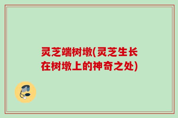 灵芝端树墩(灵芝生长在树墩上的神奇之处)