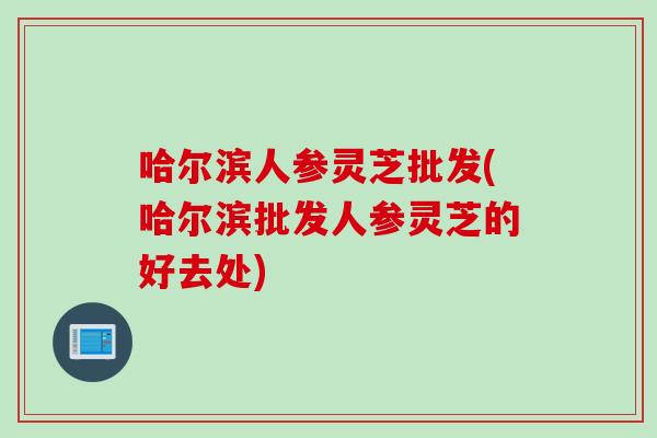哈尔滨人参灵芝批发(哈尔滨批发人参灵芝的好去处)