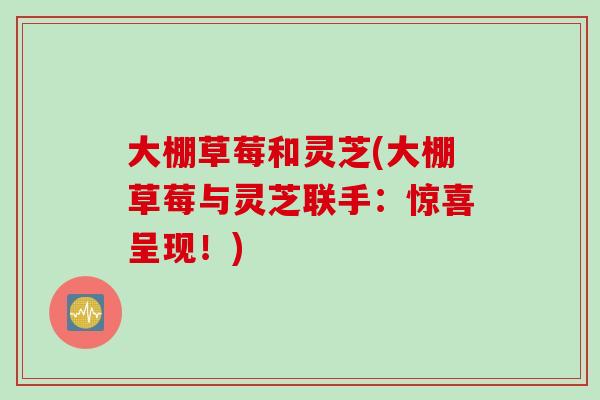 大棚草莓和灵芝(大棚草莓与灵芝联手：惊喜呈现！)