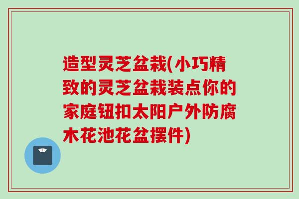 造型灵芝盆栽(小巧精致的灵芝盆栽装点你的家庭钮扣太阳户外防腐木花池花盆摆件)