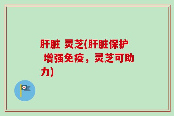肝脏 灵芝(肝脏保护 增强免疫，灵芝可助力)