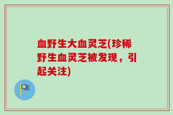 血野生大血灵芝(珍稀野生血灵芝被发现，引起关注)