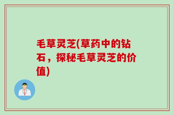 毛草灵芝(草药中的钻石,探秘毛草灵芝的价值) 毛草灵芝(草药中的钻石,探秘毛草灵芝的价值)