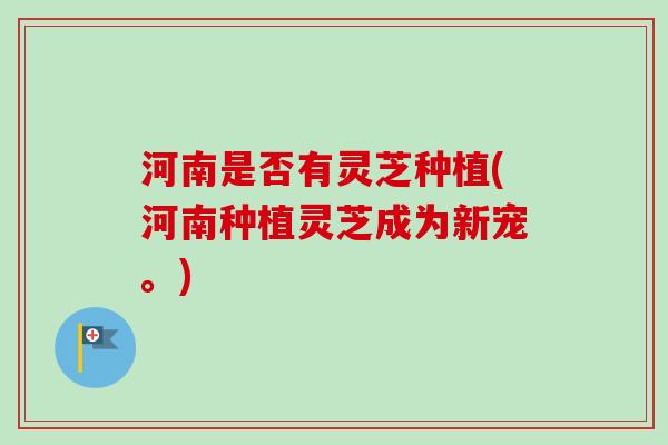 河南是否有灵芝种植(河南种植灵芝成为新宠。)