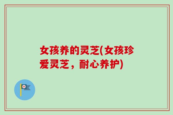 女孩养的灵芝(女孩珍爱灵芝，耐心养护)