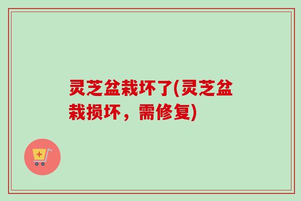 灵芝盆栽坏了(灵芝盆栽损坏，需修复)