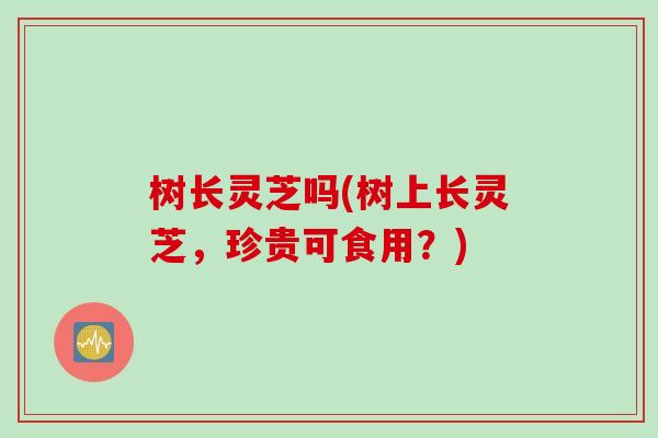 树长灵芝吗(树上长灵芝，珍贵可食用？)