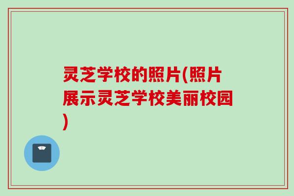 灵芝学校的照片(照片展示灵芝学校美丽校园)