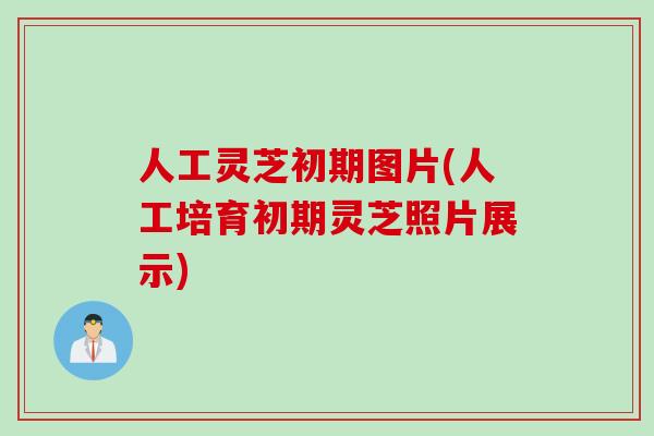 人工灵芝初期图片(人工培育初期灵芝照片展示) 人工灵芝初期图片(人工培育初期灵芝照片展示)