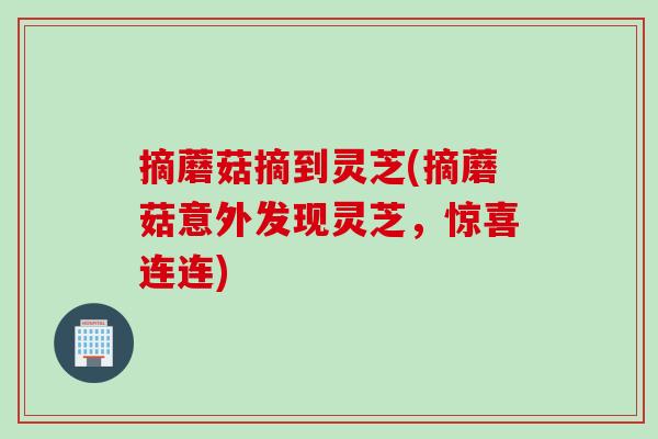 摘蘑菇摘到灵芝(摘蘑菇意外发现灵芝,惊喜连连) 摘蘑菇摘到灵芝(摘蘑菇意外发现灵芝,惊喜连连)