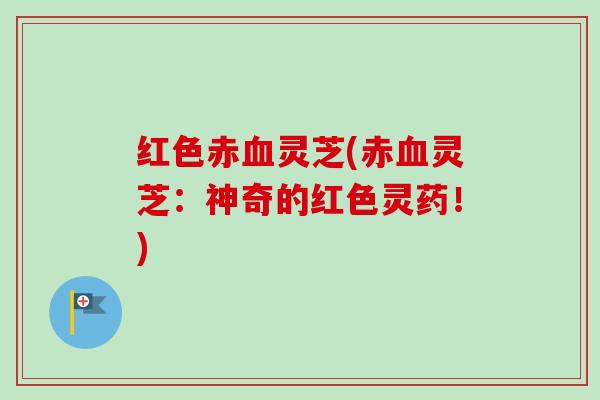 红色赤血灵芝(赤血灵芝：神奇的红色灵药！)