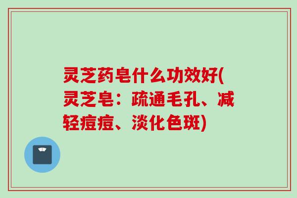 灵芝药皂什么功效好(灵芝皂：疏通毛孔、减轻痘痘、淡化色斑)