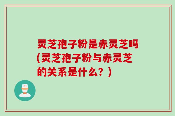 灵芝孢子粉是赤灵芝吗(灵芝孢子粉与赤灵芝的关系是什么？)