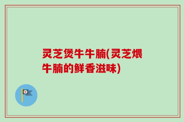 灵芝煲牛牛腩(灵芝煨牛腩的鲜香滋味)