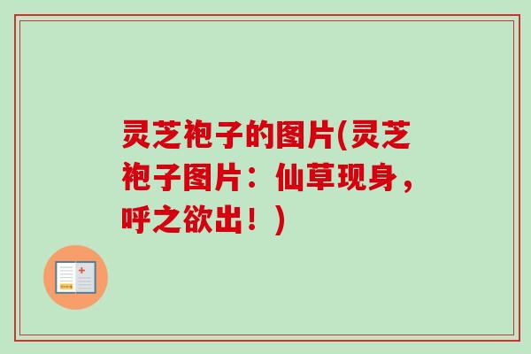 灵芝袍子的图片(灵芝袍子图片：仙草现身，呼之欲出！)