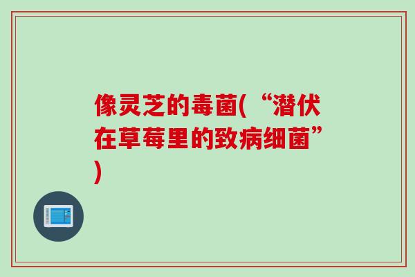 像灵芝的毒菌(“潜伏在草莓里的致病细菌”)
