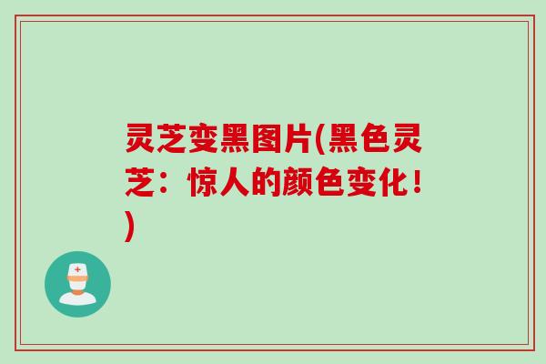 灵芝变黑图片(黑色灵芝:惊人的颜色变化!) 灵芝变黑图片(黑色灵芝:惊人的颜色变化!)