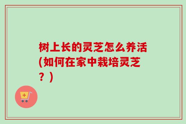 树上长的灵芝怎么养活(如何在家中栽培灵芝？)