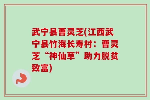 武宁县曹灵芝(江西武宁县竹海长寿村：曹灵芝“神仙草”助力脱贫致富)
