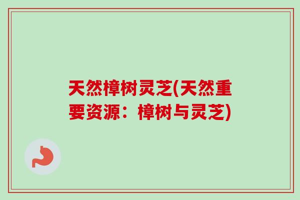 天然樟树灵芝(天然重要资源:樟树与灵芝) 天然樟树灵芝(天然重要资源:樟树与灵芝)