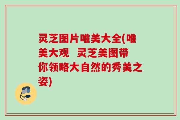 灵芝图片唯美大全(唯美大观  灵芝美图带你领略大自然的秀美之姿)
