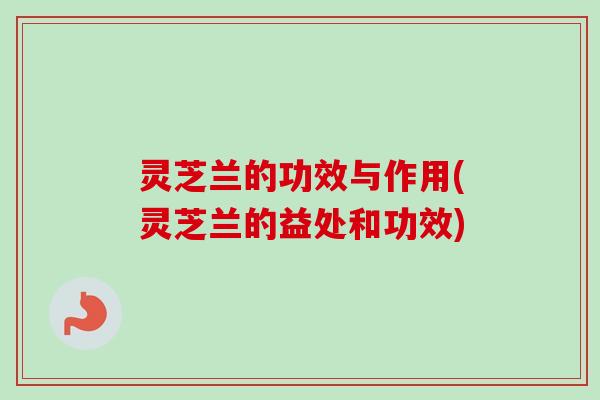 灵芝兰的功效与作用(灵芝兰的益处和功效)
