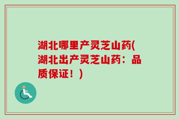 湖北哪里产灵芝山药(湖北出产灵芝山药：品质保证！)