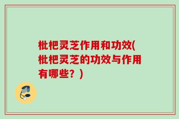 枇杷灵芝作用和功效(枇杷灵芝的功效与作用有哪些？)