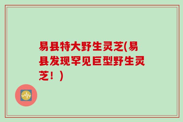 易县特大野生灵芝(易县发现罕见巨型野生灵芝！)
