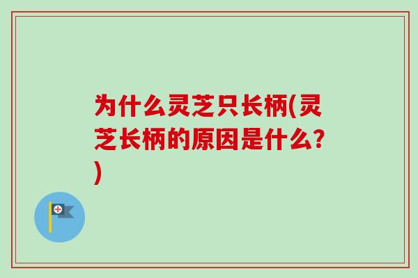 为什么灵芝只长柄(灵芝长柄的原因是什么？)