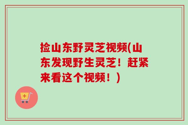 捡山东野灵芝视频(山东发现野生灵芝！赶紧来看这个视频！)