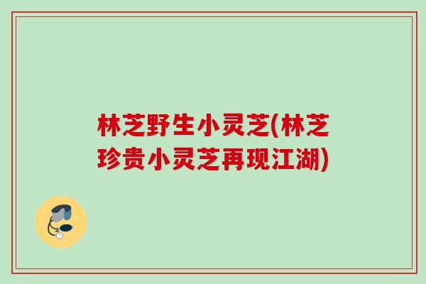 林芝野生小灵芝(林芝珍贵小灵芝再现江湖)