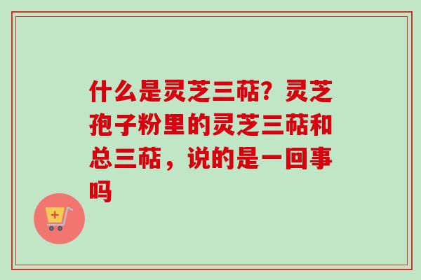 什么是灵芝三萜？灵芝孢子粉里的灵芝三萜和总三萜，说的是一回事吗