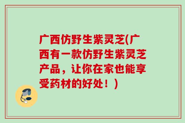 广西仿野生紫灵芝(广西有一款仿野生紫灵芝产品，让你在家也能享受药材的好处！)