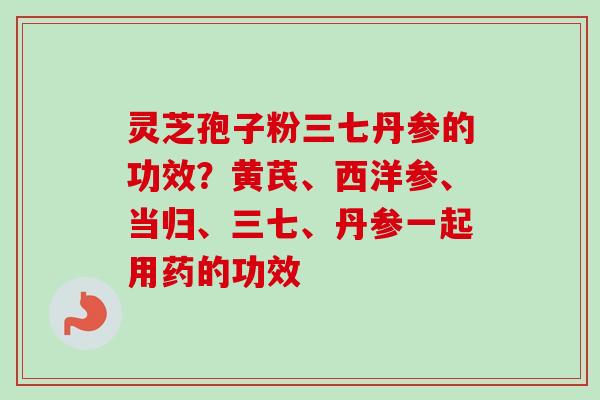 灵芝孢子粉三七丹参的功效？黄芪、西洋参、当归、三七、丹参一起用药的功效