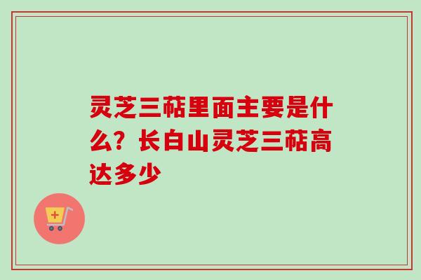 灵芝三萜里面主要是什么？长白山灵芝三萜高达多少