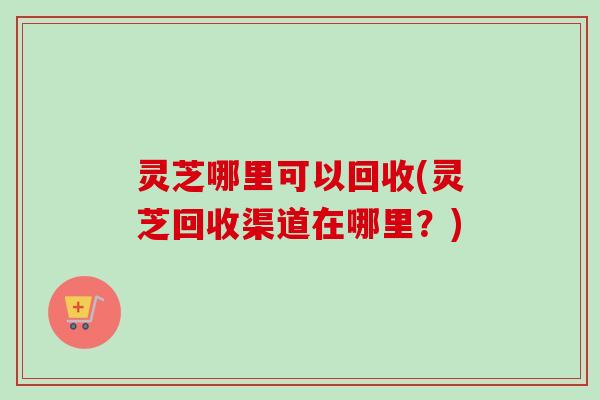 灵芝哪里可以回收(灵芝回收渠道在哪里？)