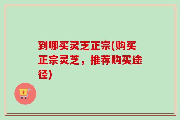 到哪买灵芝正宗(购买正宗灵芝，推荐购买途径)